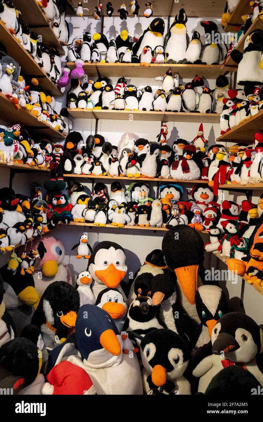 Cuxhaven, Alemania. 17th de marzo de 2021. Numerosos pingüinos de felpa  están en exhibición en el museo. Pingüinos dondequiera que la vista pueda  ver: Ya sea como un animal de felpa, una