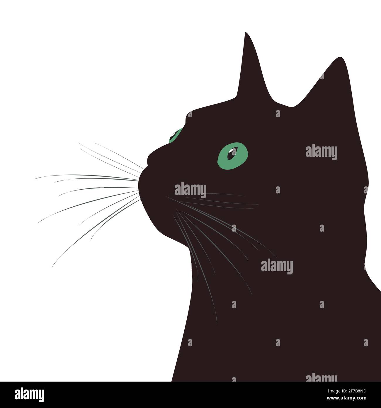 Gato negro con ojos verdes sobre fondo blanco Imagen Vector de stock - Alamy