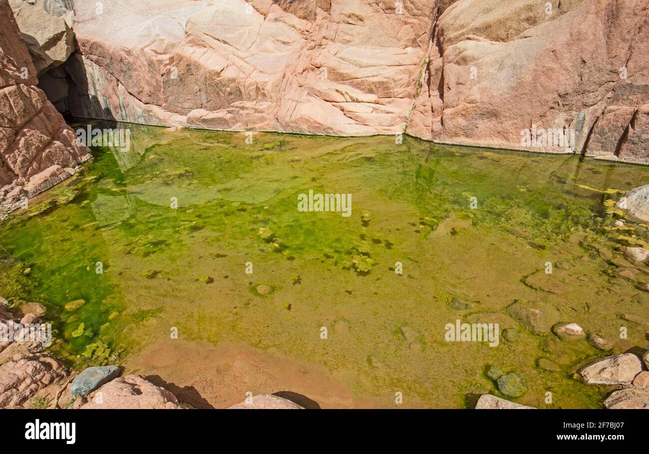 Piscina de agua dulce bajo el saliente de Desert Mountain canyon
