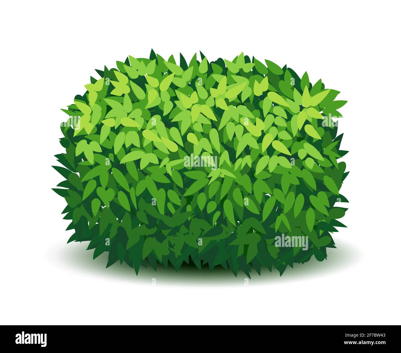 Vector arbusto de jardín aislado arbusto de cobertura. Verde arbusto de  dibujos animados hierba arbustos planta Imagen Vector de stock - Alamy