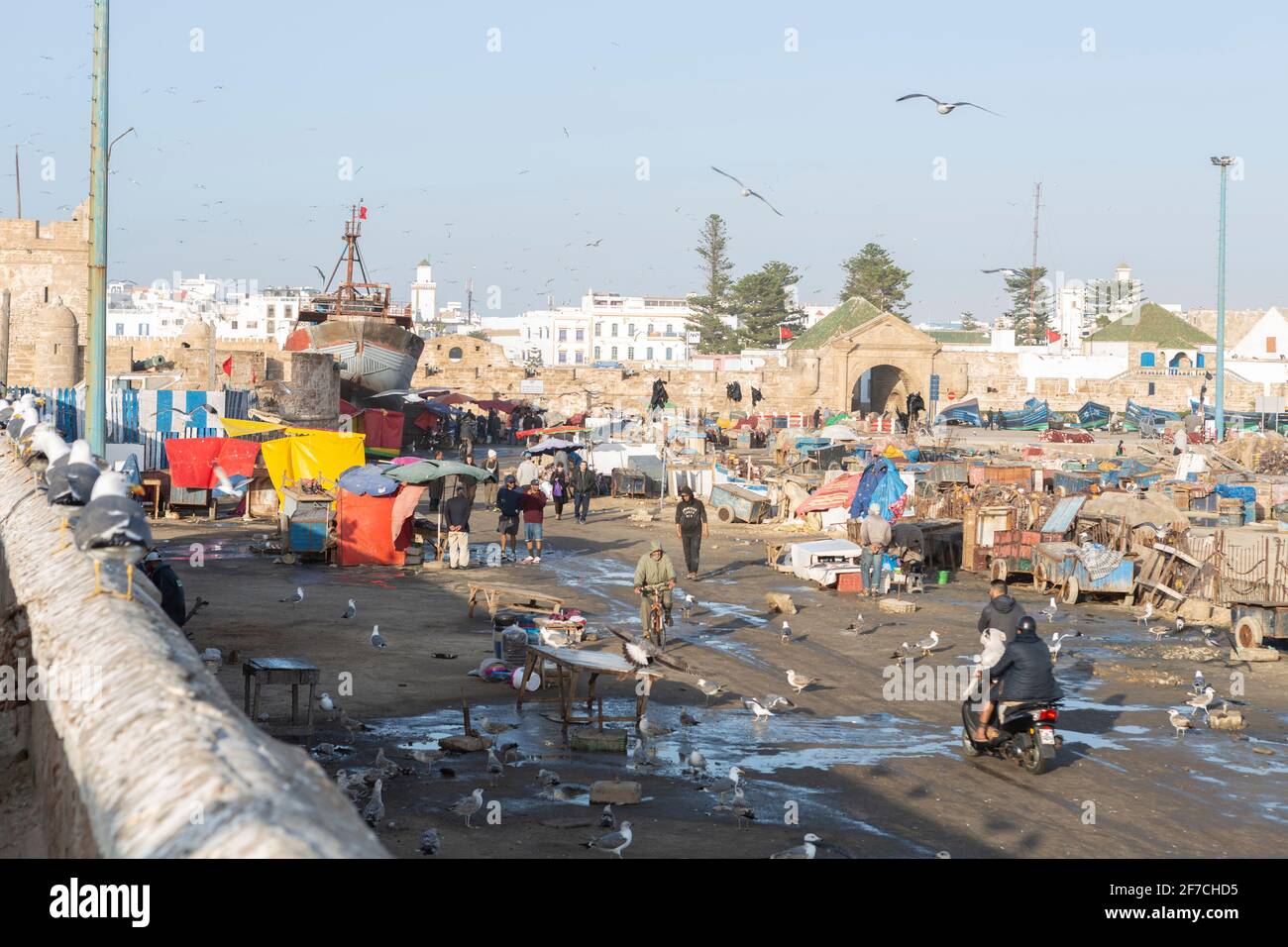 Bullicio y ajetreo en el puerto de Essaouira, Marruecos Foto de stock