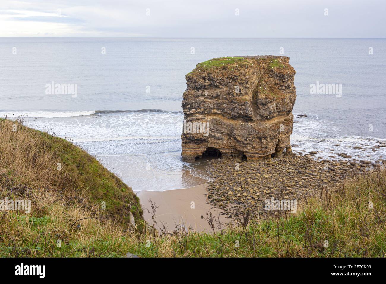 Marsden Rock en el Mar del Norte en Marsden, South Shields, Tyne & Wear UK Foto de stock