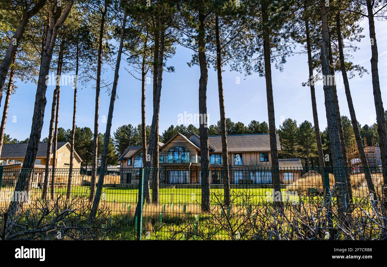 Gran casa de lujo moderna independiente detrás de la valla y pinos escoceses, Archerfield Estate, East Lothian, Escocia, Reino Unido Foto de stock