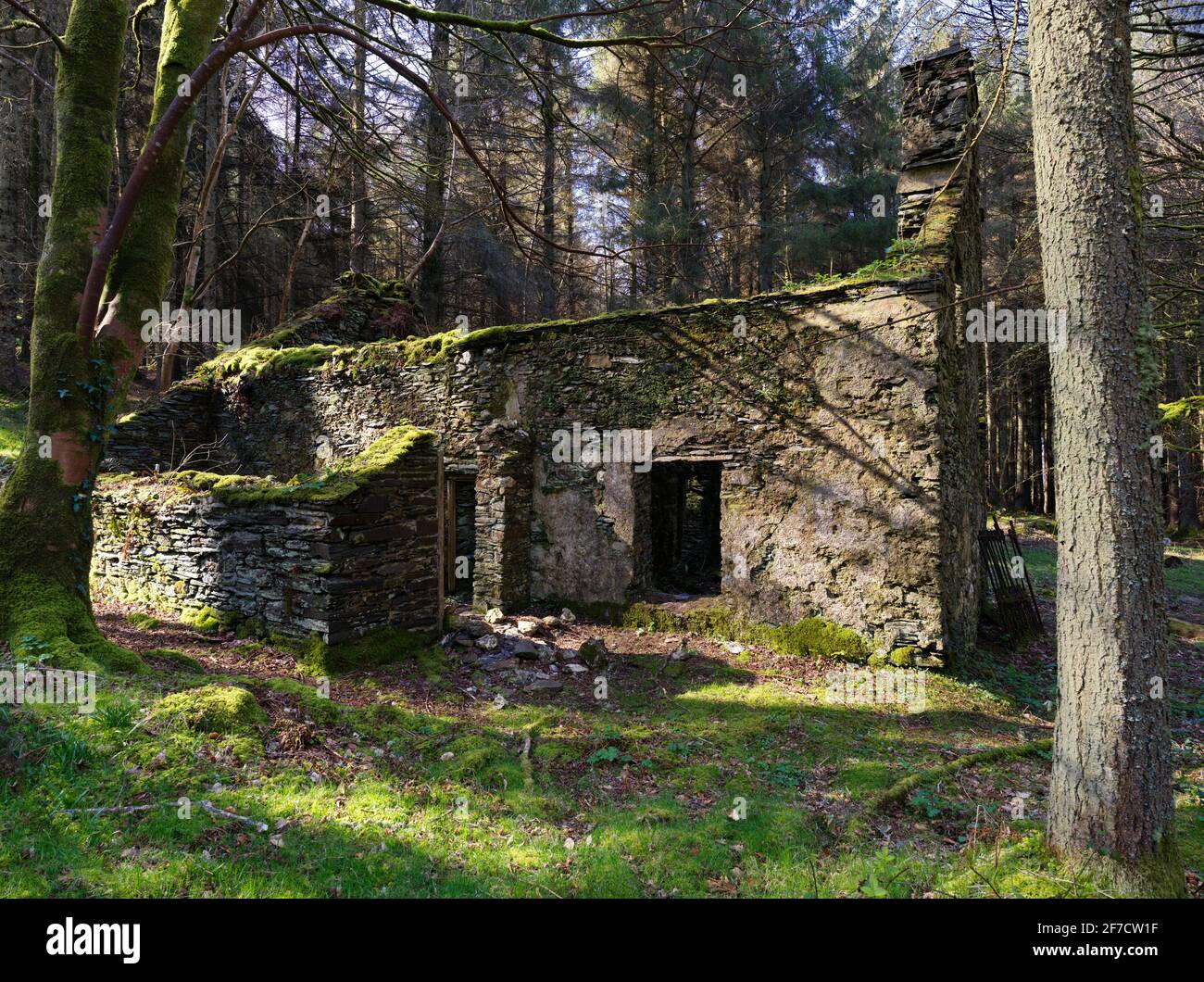 Una casa abandonada de Manx Tholtan escondida en los árboles en Glen Helen, Isla de Man Foto de stock