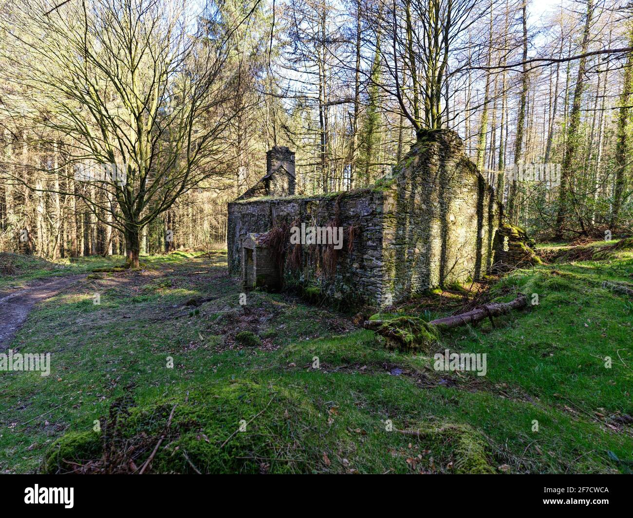 Una casa abandonada de Manx Tholtan escondida en los árboles en Glen Helen, Isla de Man Foto de stock