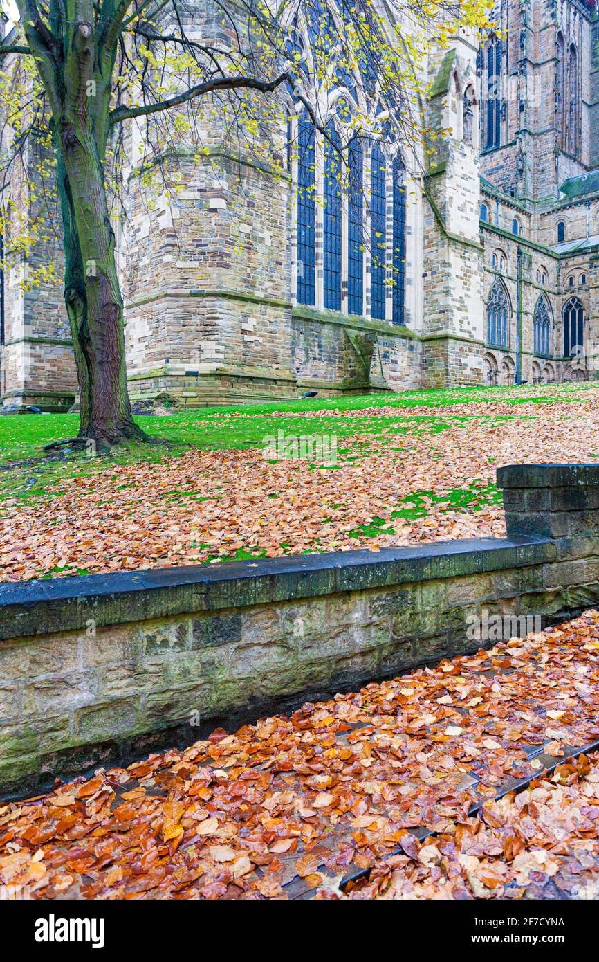 Un día húmedo de noviembre en la Catedral de Durham, Condado de Durham, Reino Unido Foto de stock