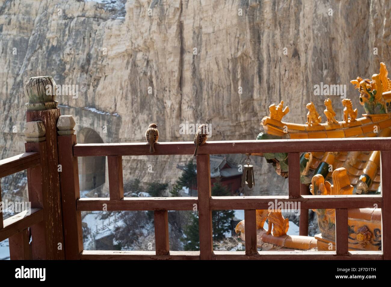 Los gorriones descansan en la barandilla de XuanKong Si al pie de la montaña Hengshan en la provincia de Shanxi, a unas 300 millas al suroeste de Beijing, China. Foto de stock