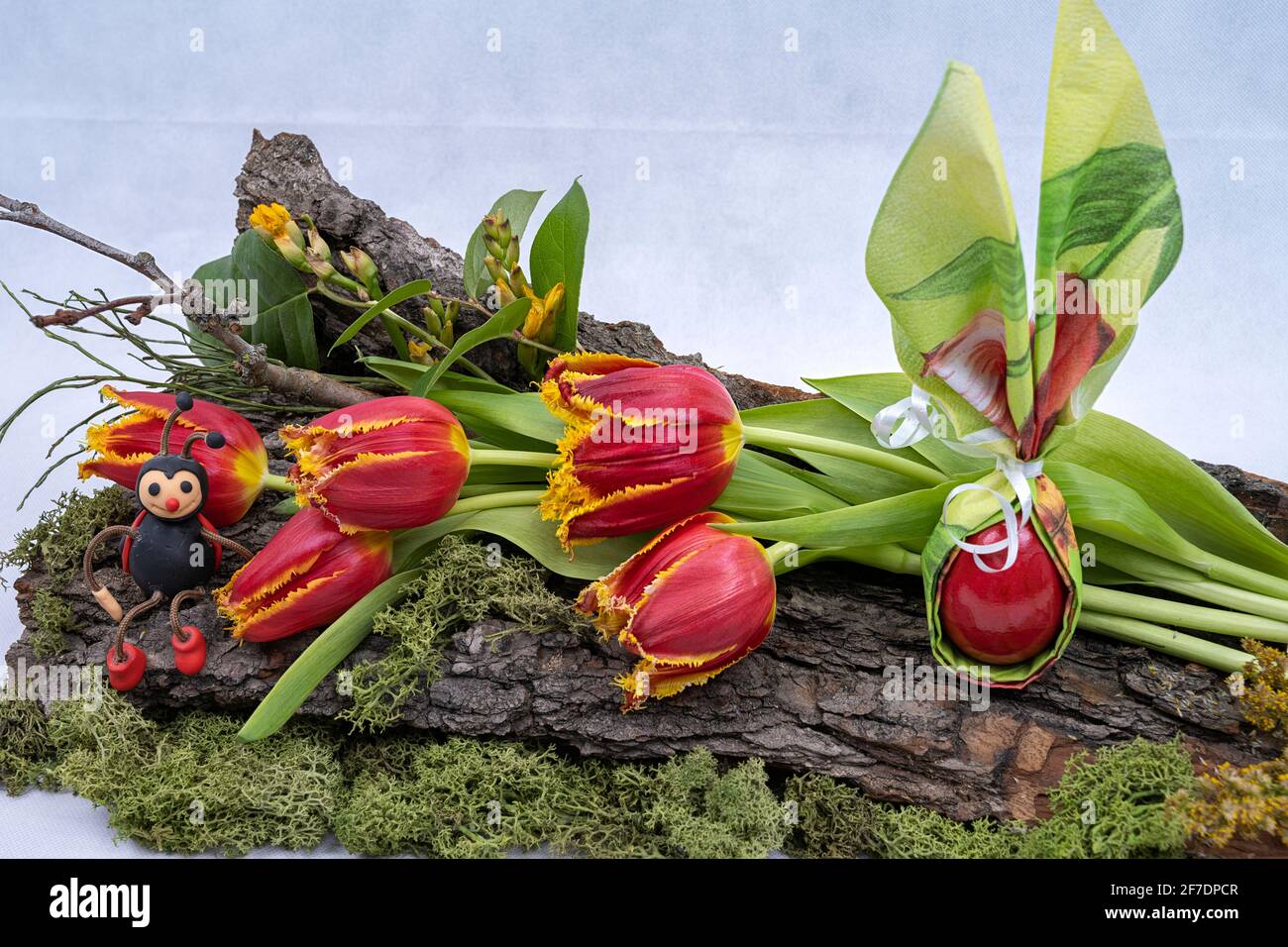Decoración para Semana Santa, corteza de árbol adornada con tulipanes, huevo de color, juguetes de cocchafer. Plantilla para saludos de Pascua, postales. Foto de stock