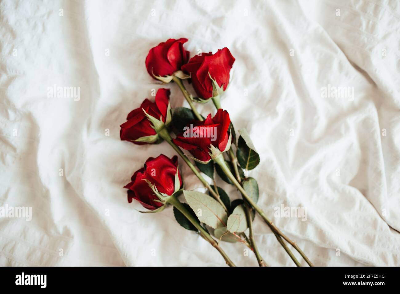 ramo de rosas rojas en la cama blanca. Tejido blanco con arrugas con rosas  rojas Fotografía de stock - Alamy