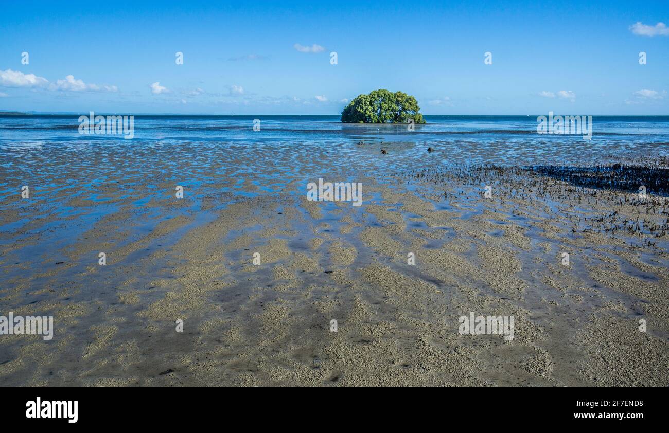 Línea costera de Moreton Bay en Godwin Beach con manglares en las llanuras de marea que caen secos durante la marea baja, Región de Moreton Bay, Queensland, Australia Foto de stock