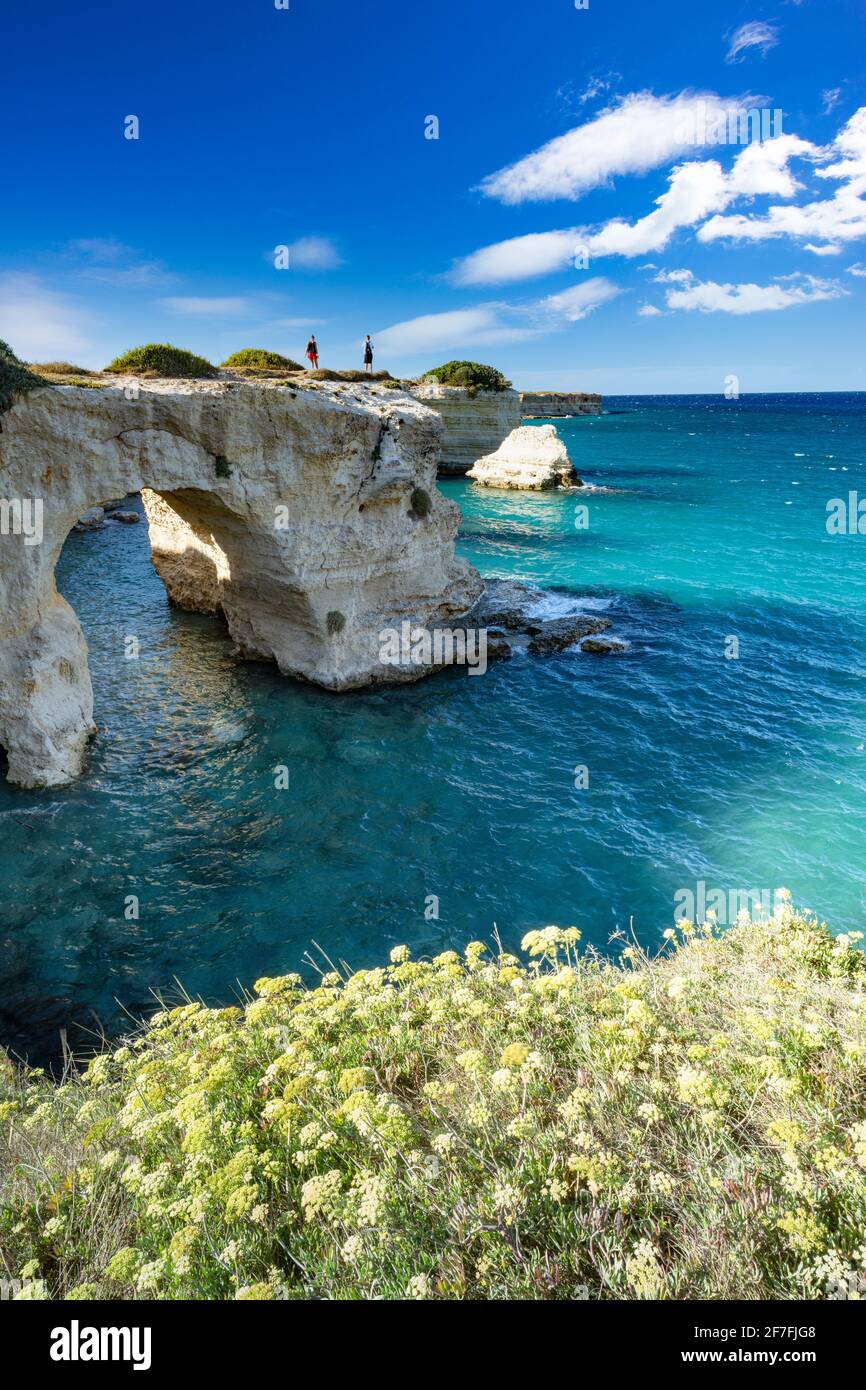 Turistas admirando el mar desde el arco de piedra natural en el acantilado, Torre Sant'Andrea, provincia de Lecce, Salento, Apulia, Italia, Europa Foto de stock