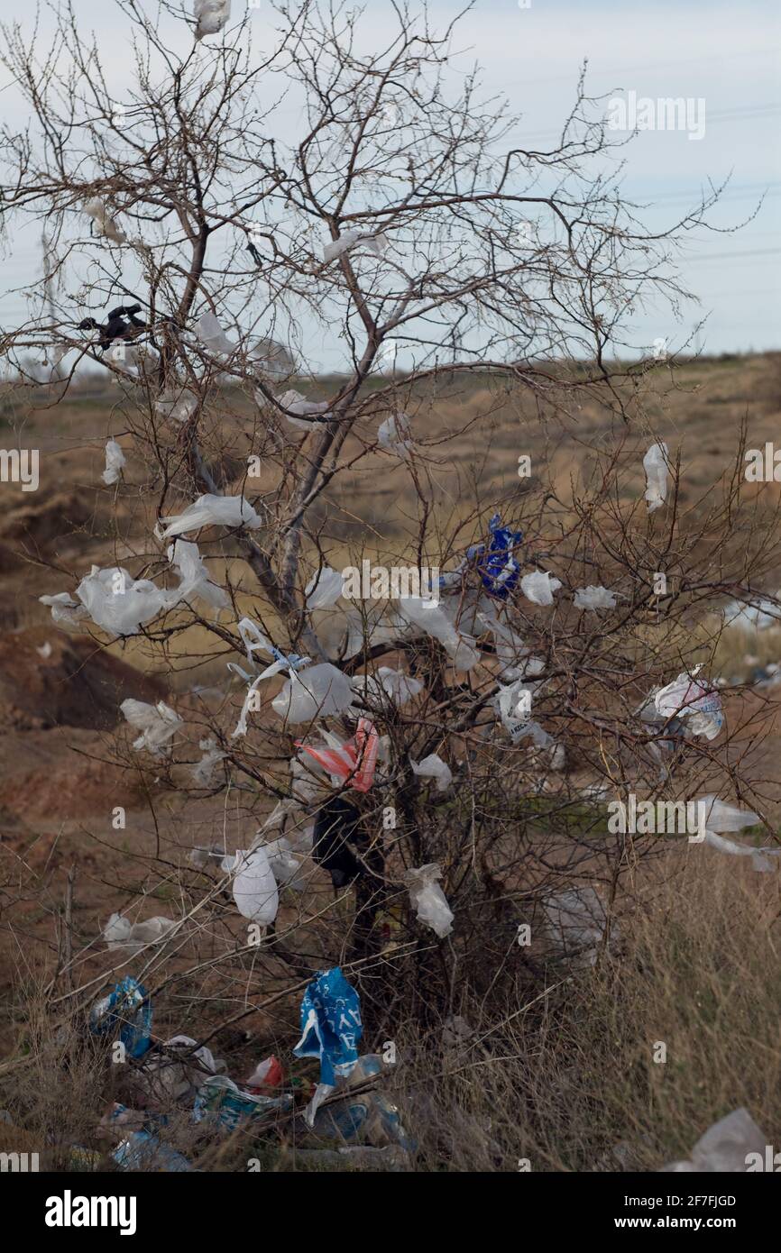 Hija pase a ver conductor Plastic bags in a tree fotografías e imágenes de alta resolución - Alamy