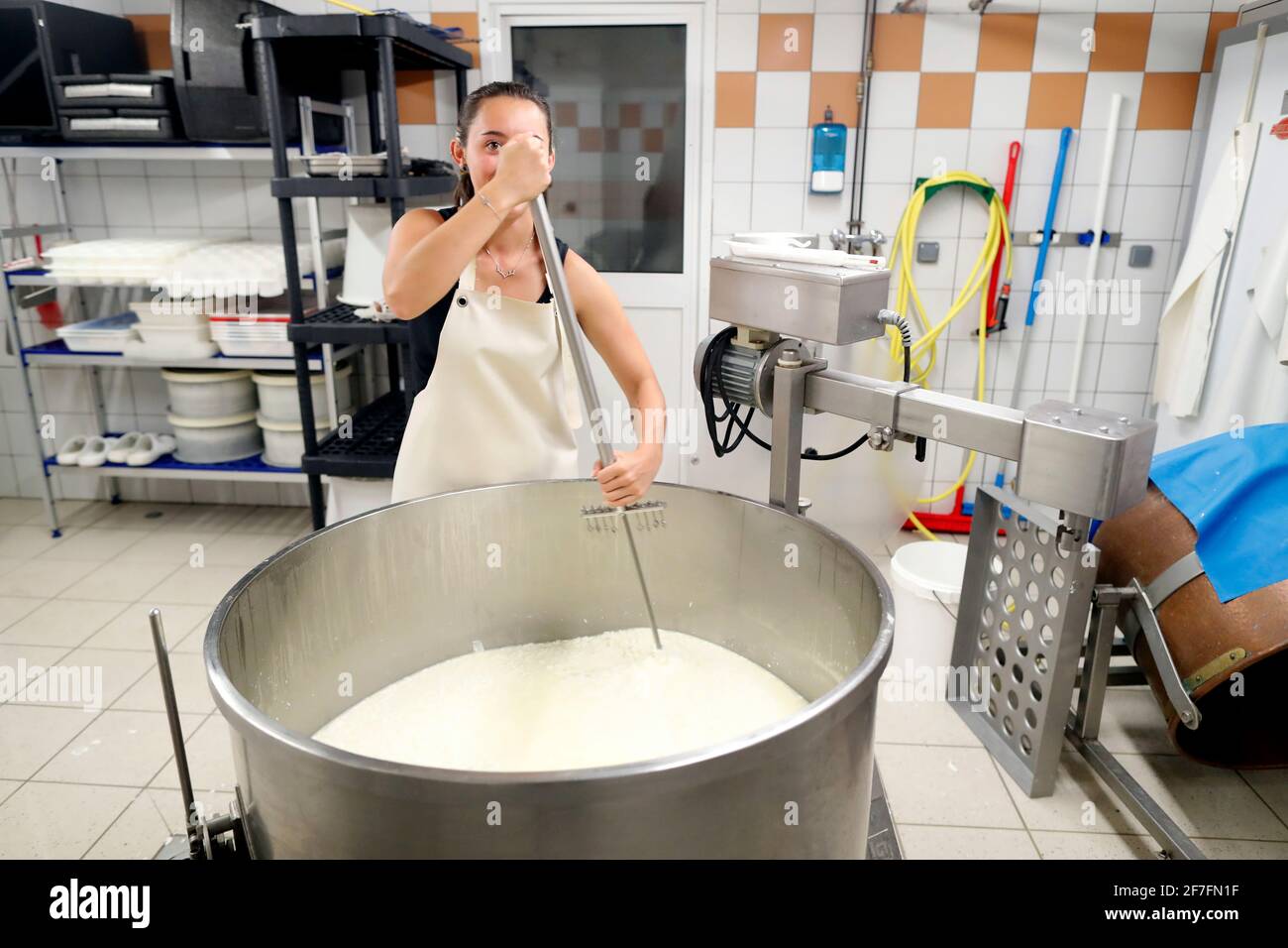 Fábrica de queso tradicional. Queso francés de Saboya producido a partir de leche de vaca, Tomé, Alta Saboya, Francia, Europa Foto de stock