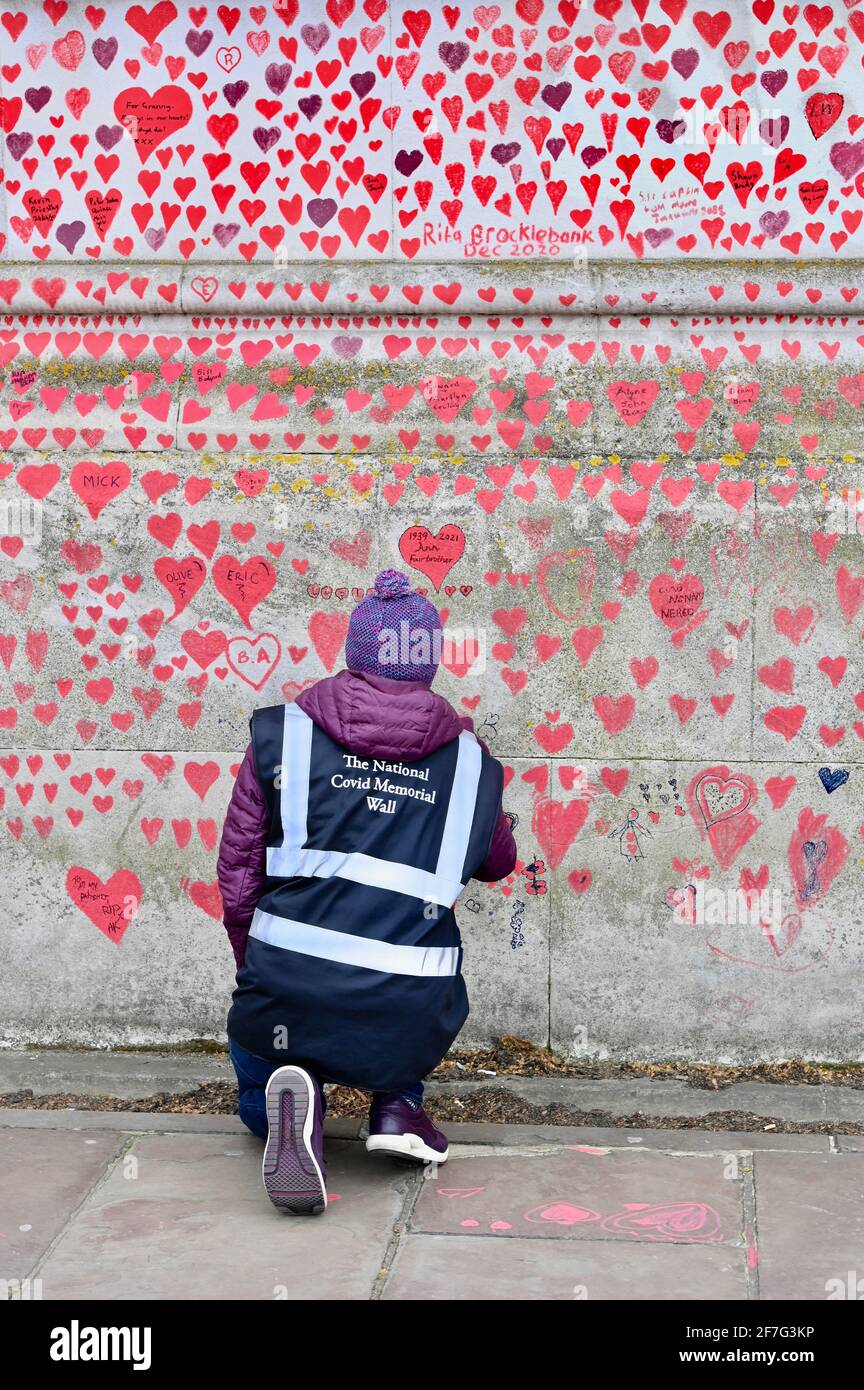 Londres. REINO UNIDO. Los corazones siguen siendo añadidos al Muro Conmemorativo Nacional Covid en el Hospital St. Thomas de Westminster, en memoria de aquellos que han muerto de coronavirus durante la pandemia. Foto de stock