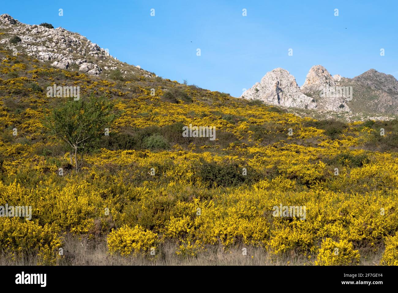 Senderismo La Cuna ruta sobre el paso Zafarraya entre Andalucía y Granada, España, Europa Foto de stock