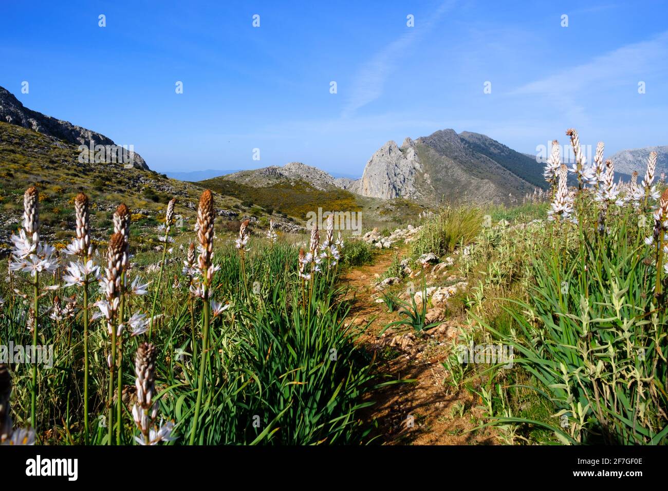 Senderismo La Cuna ruta sobre el paso Zafarraya entre Andalucía y Granada, España, Europa Foto de stock