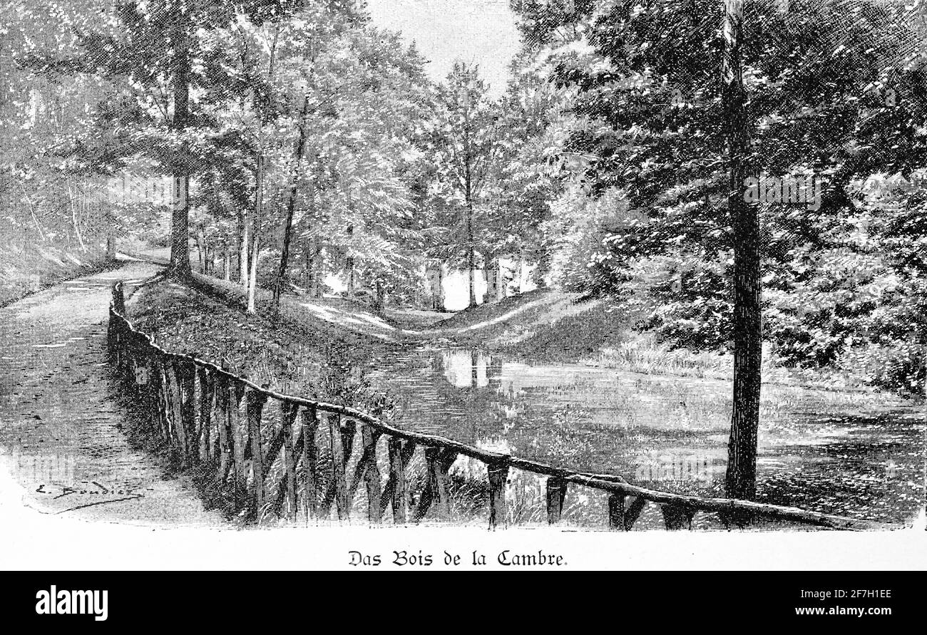 Un camino al lado del lago en el parque público boscoso Bois de la Cambre, el parque fue diseñado en 1861 por Édouard Keilig, Bruselas, Bélgica, Europa Foto de stock