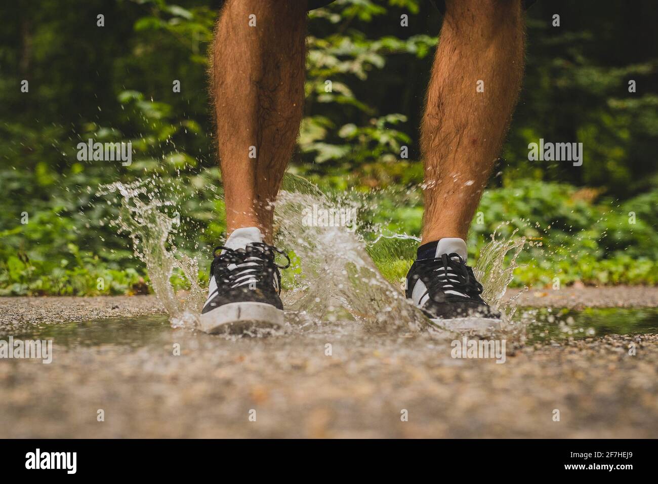 Piernas masculinas saltando en un pequeño estanque en asfalto, creando un gran chapoteo de agua clara que está saliendo de debajo de los zapatos deportivos que el hombre está usando Foto de stock