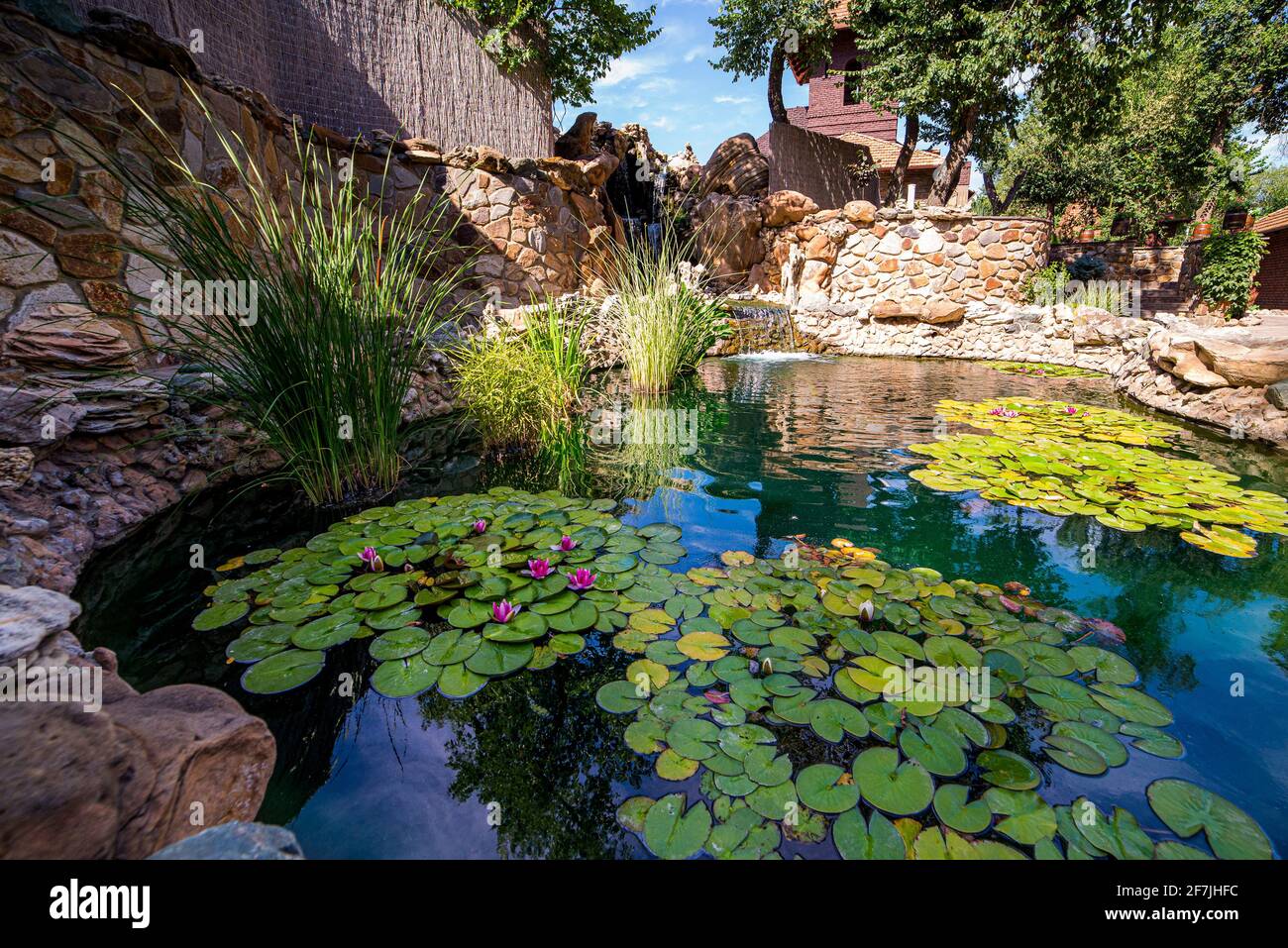 Paisaje de estanque con plantas acuáticas y lirios de agua. Decoración de  jardín Fotografía de stock - Alamy