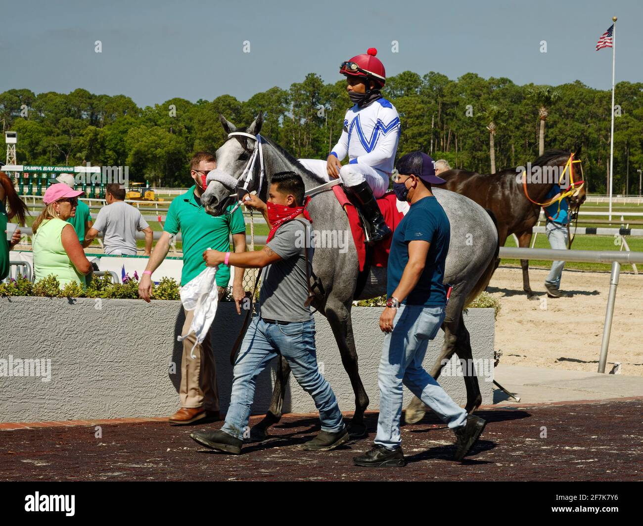 Escena del hipódromo; entrar en el círculo del ganador; caballos; calles; jockey; personas; usar mascarillas; covid 19 protección; movimiento, deporte; Animales; Ta Foto de stock