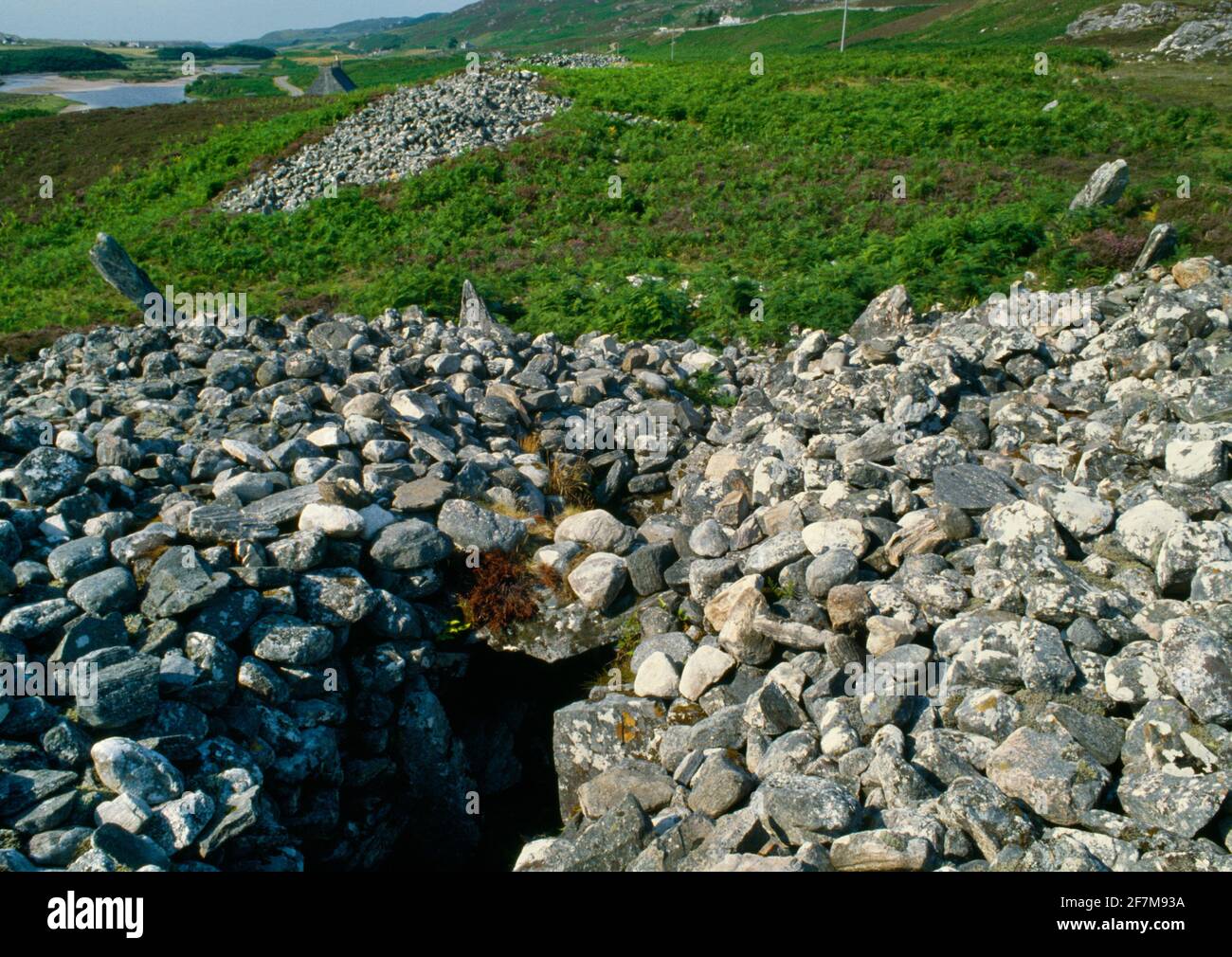 Coille na Borgie Tumbas con cámara neolítica, Sutherland, Escocia, Reino Unido: Vista N de dos largos cairns con cuernos en una terraza de páramos sobre el río Navar. Foto de stock