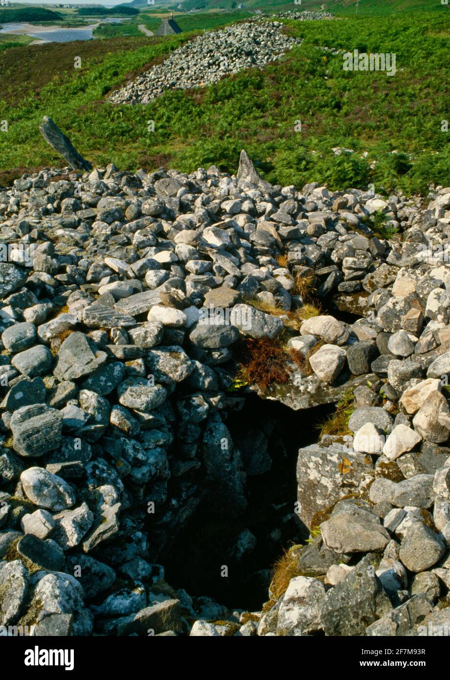 Coille na Borgie Tumbas con cámara neolítica, Sutherland, Escocia, Reino Unido: Vista N de dos largos cairns con cuernos en una terraza de páramos sobre el río Navar. Foto de stock