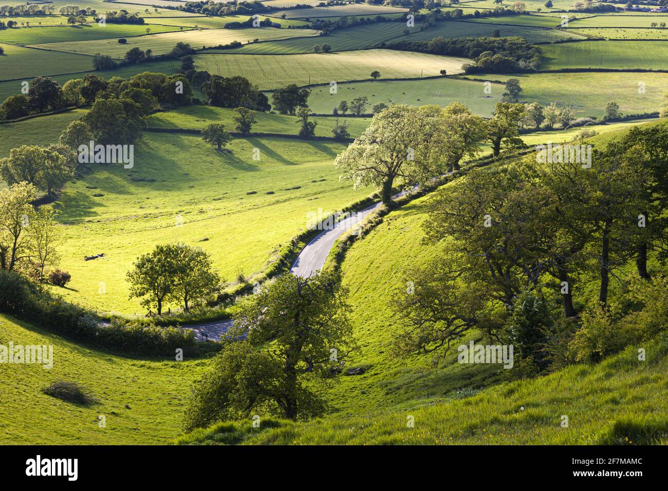 La carretera desde Severn Vale hasta la escarpa Cotswold en Frocester Hill, Gloucestershire UK Foto de stock