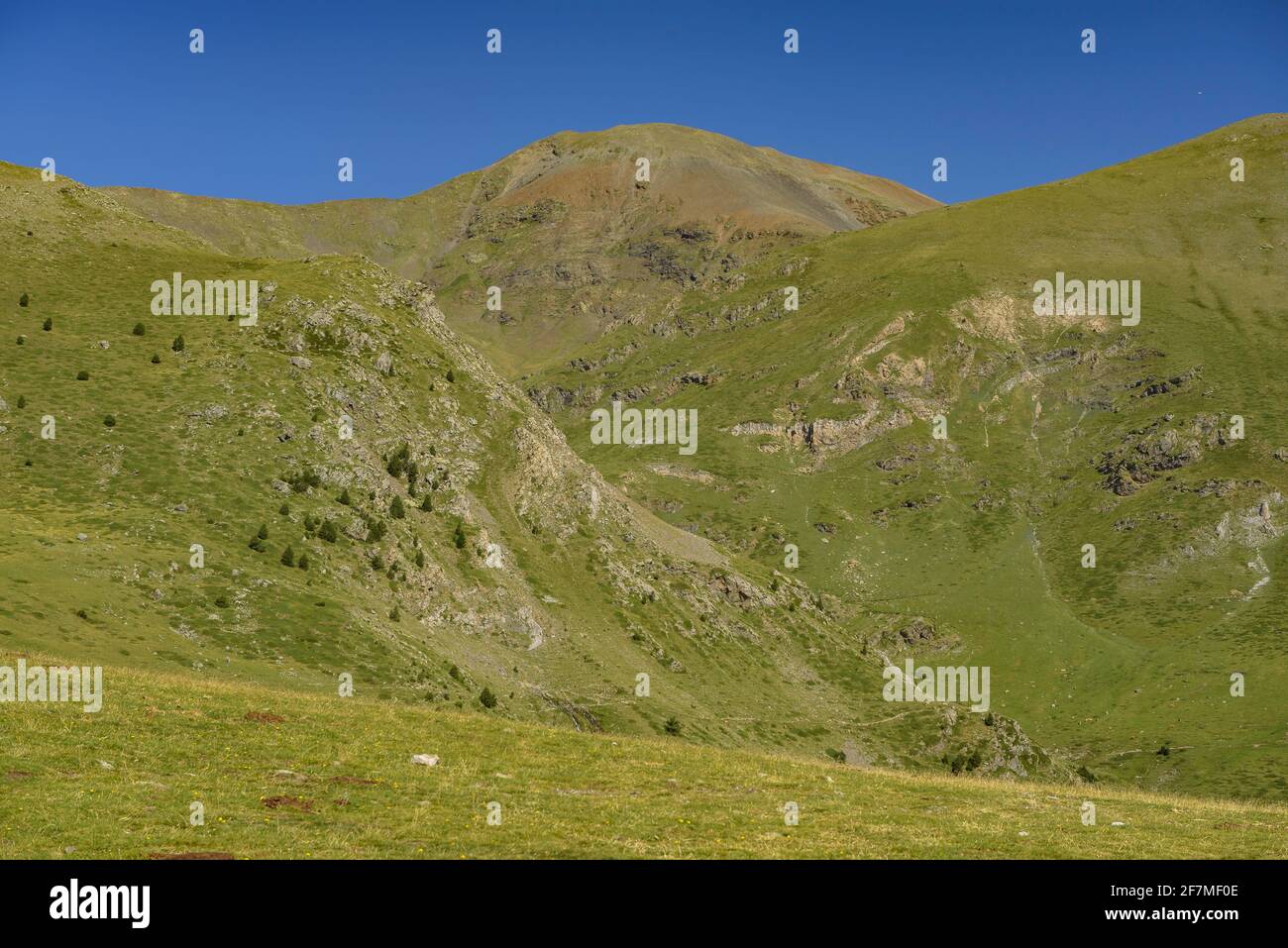 Seguimiento de la cumbre Puigmal de Fontalba en verano (Ripollès, Cataluña,  España, Pirineos) ESP: Camino de salida a la cumbre del Puigmal (Pirineos  Fotografía de stock - Alamy