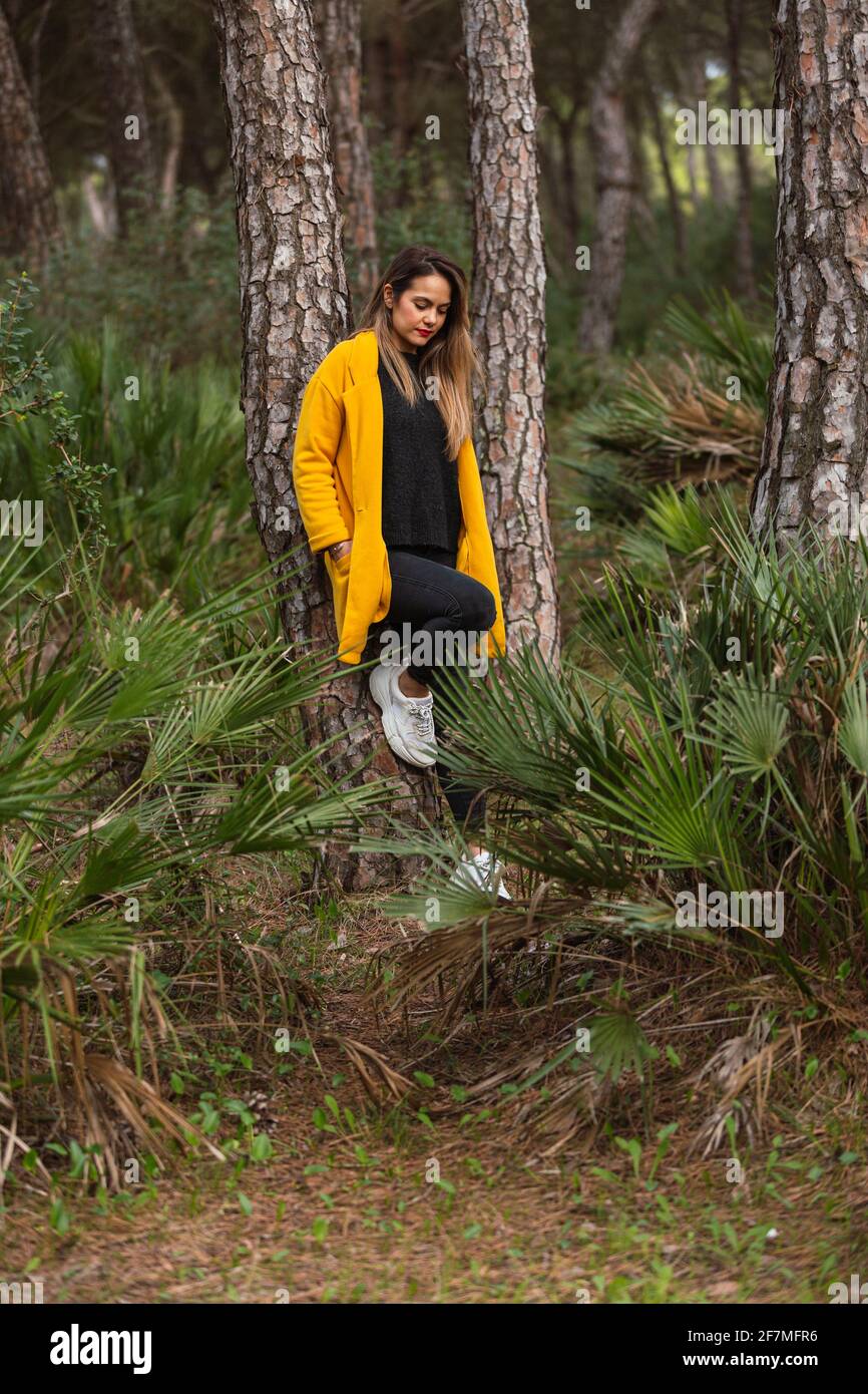 Mujer sentada en un árbol con una capa amarilla en el bosque o el parque en primavera. Sombrero en la parte superior del árbol Foto de stock