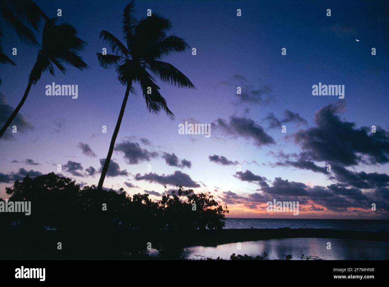 Polinesia Francesa. Islas Tuamotu. Costa de Rangiroa. Palmeras de coco al atardecer. Foto de stock