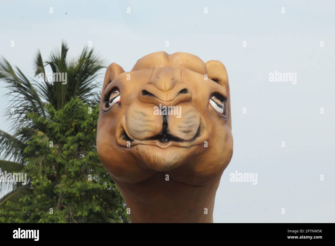 Estatua de Camel Head de cerca Foto de stock