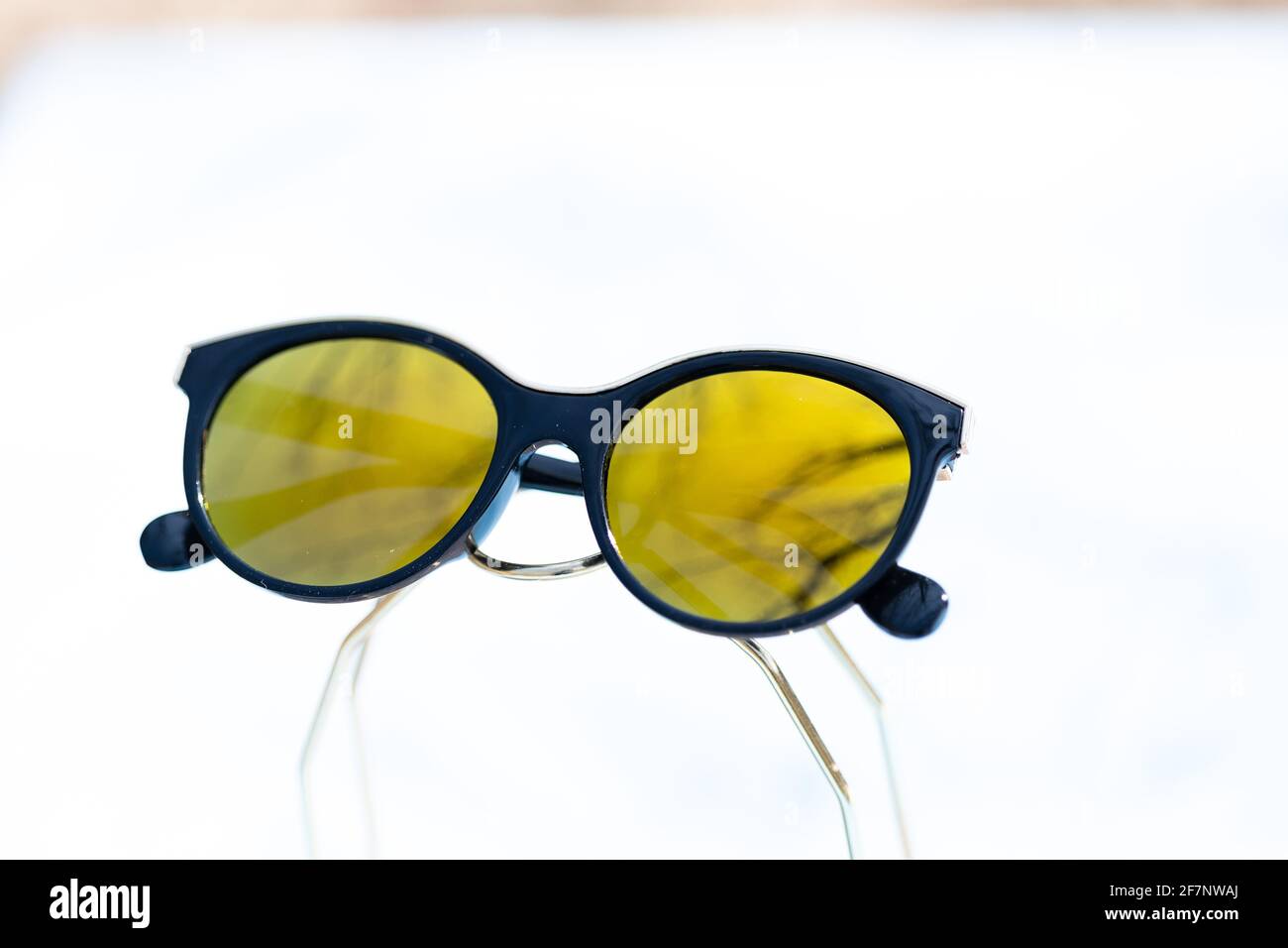 Gafas de sol de ojos de gato de moda para mujeres con lentes grandes redondas amarillas y marco negro disparar fuera en un día soleado primer plano. Enfoque selectivo Fotografía de