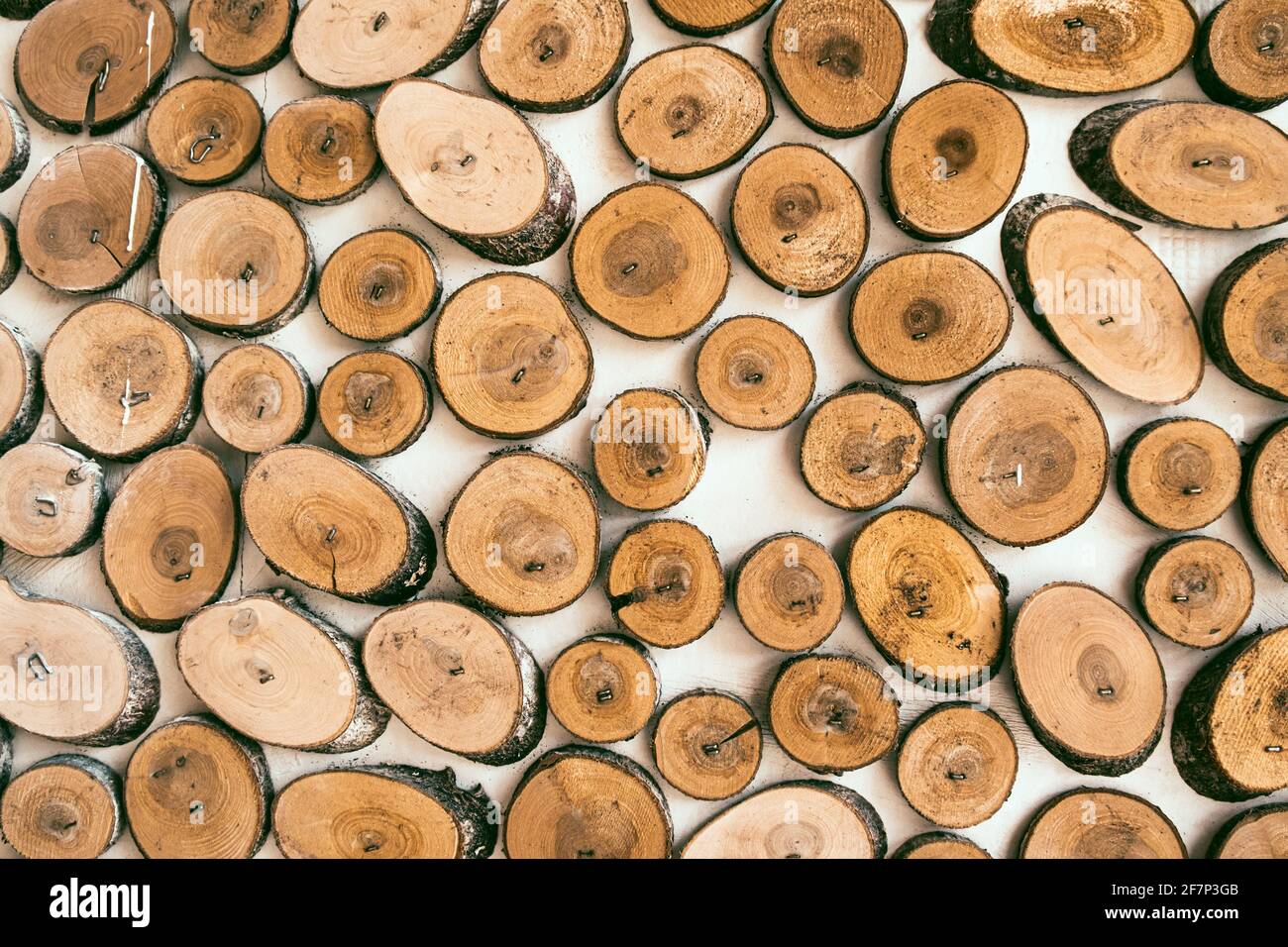Sección transversal del fondo de troncos de árbol. Textura de madera,  troncos redondos de madera. Decoración del árbol de corte para decoración  interior o como fondo Fotografía de stock - Alamy