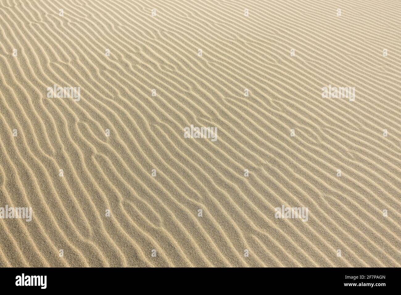 La textura de la arena en una duna en el desierto Foto de stock