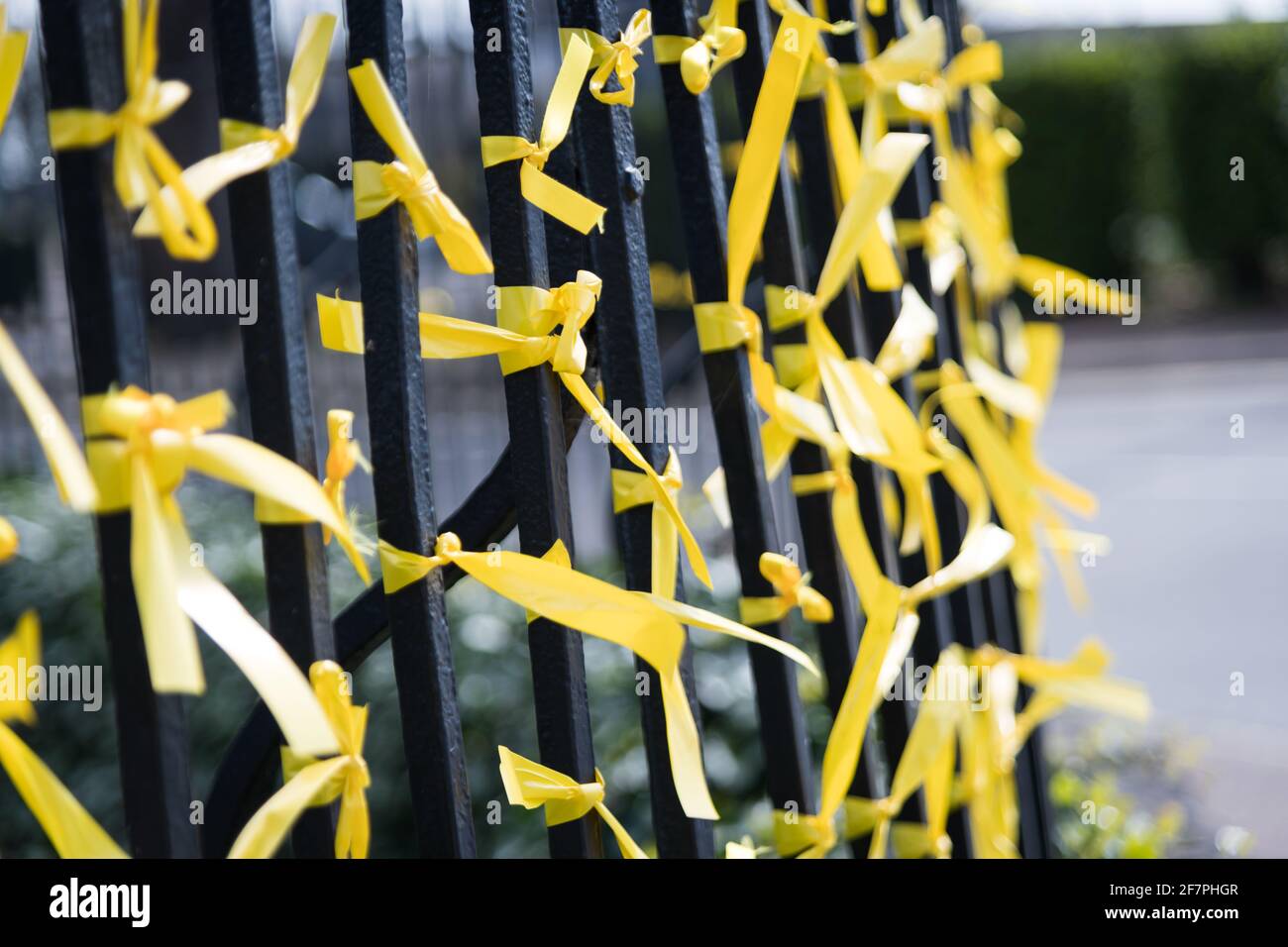 Cintas amarillas para el Día Nacional de Reflexión para las Muertes De Covid-19 Foto de stock