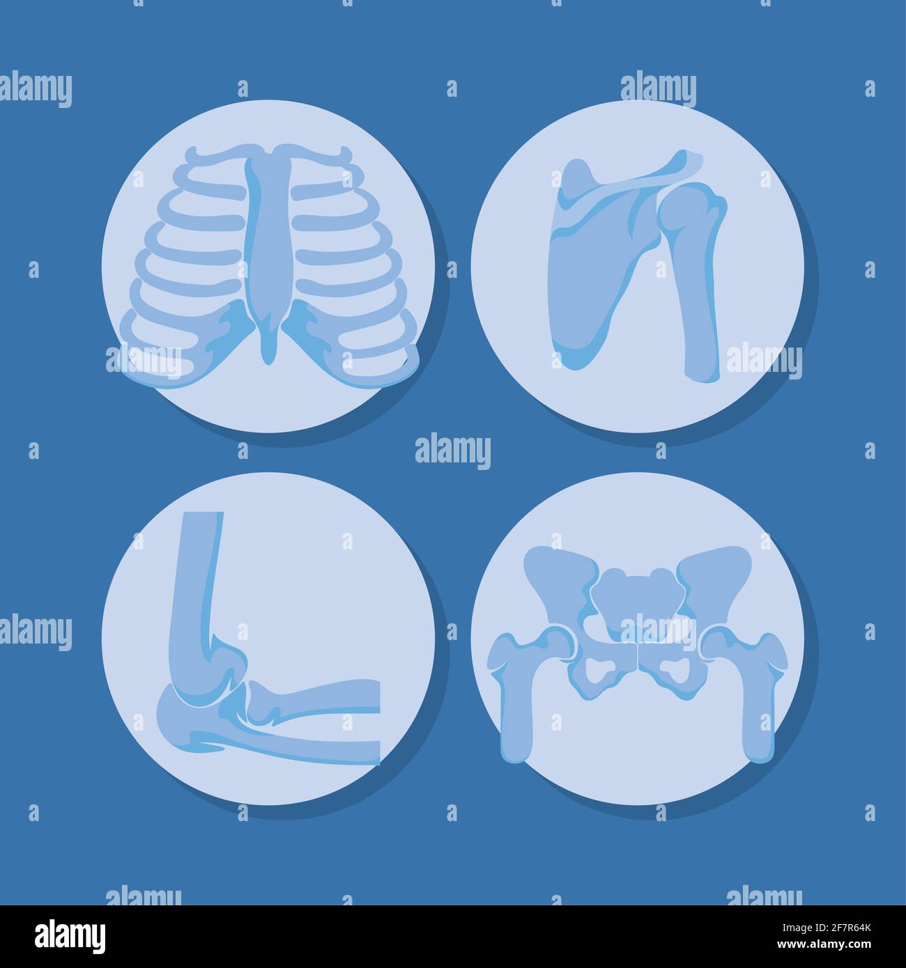 cuatro huesos de reumatología Ilustración del Vector