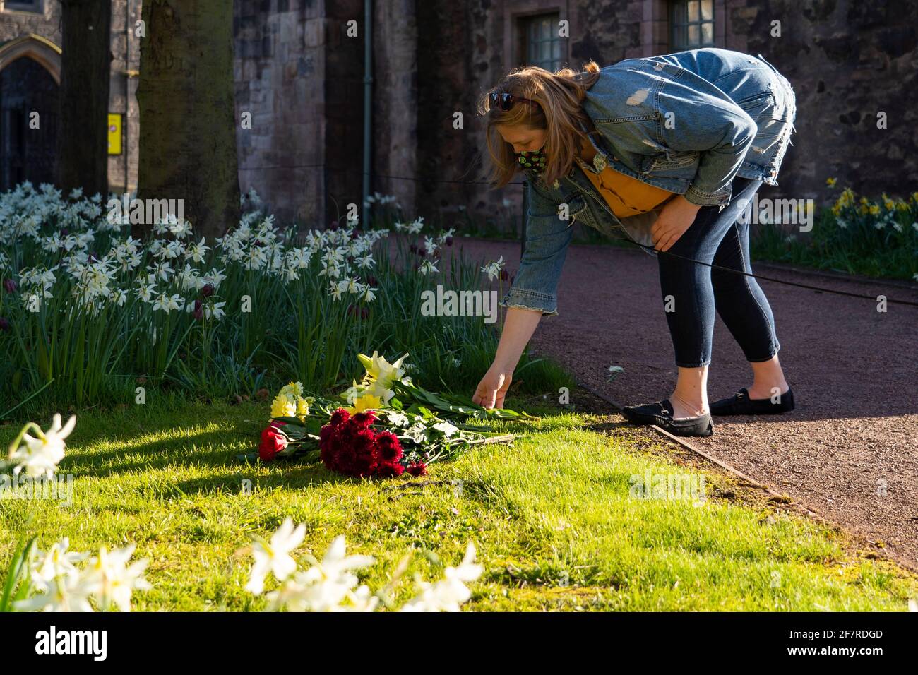 Edimburgo, Escocia, Reino Unido. 9 de abril de 2021. Las banderas vuelan hoy a media asta en Edimburgo, a la noticia de la muerte del príncipe Felipe el Duque de Edimburgo. Pic; La mujer rinde homenaje floral en el jardín junto al Palacio de Holyroodhouse. Iain Masterton/Alamy Live News Foto de stock