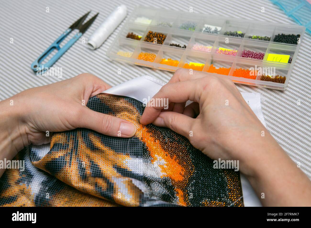 Proceso de bordado de abalorios. Primer plano - manos femeninas cuerda  cuentas en una aguja y coser a la tela. A la mujer le gusta el bordado  Fotografía de stock - Alamy