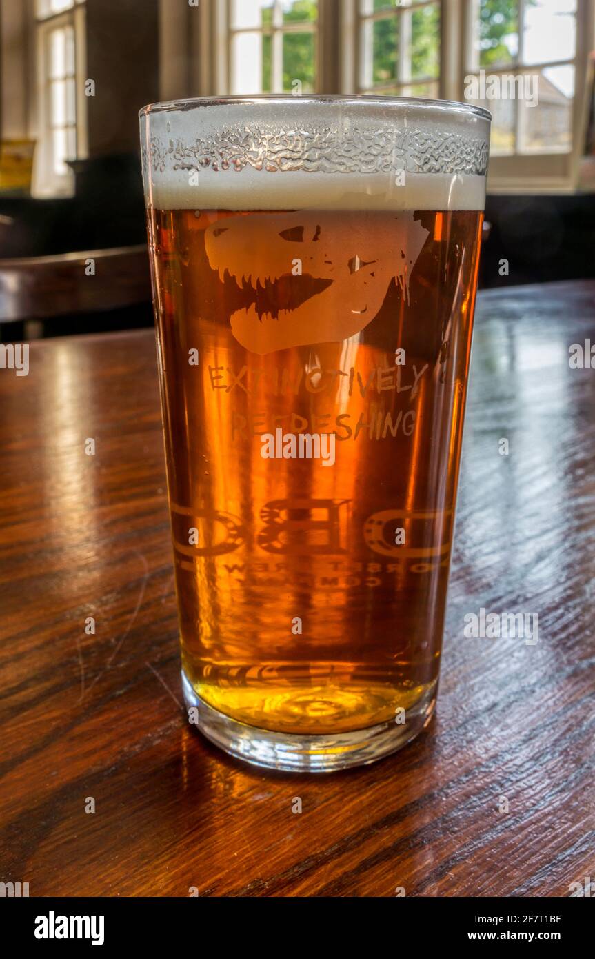 Una pinta de amarga de la Dorset Brewing Company en un pub West Country. Foto de stock