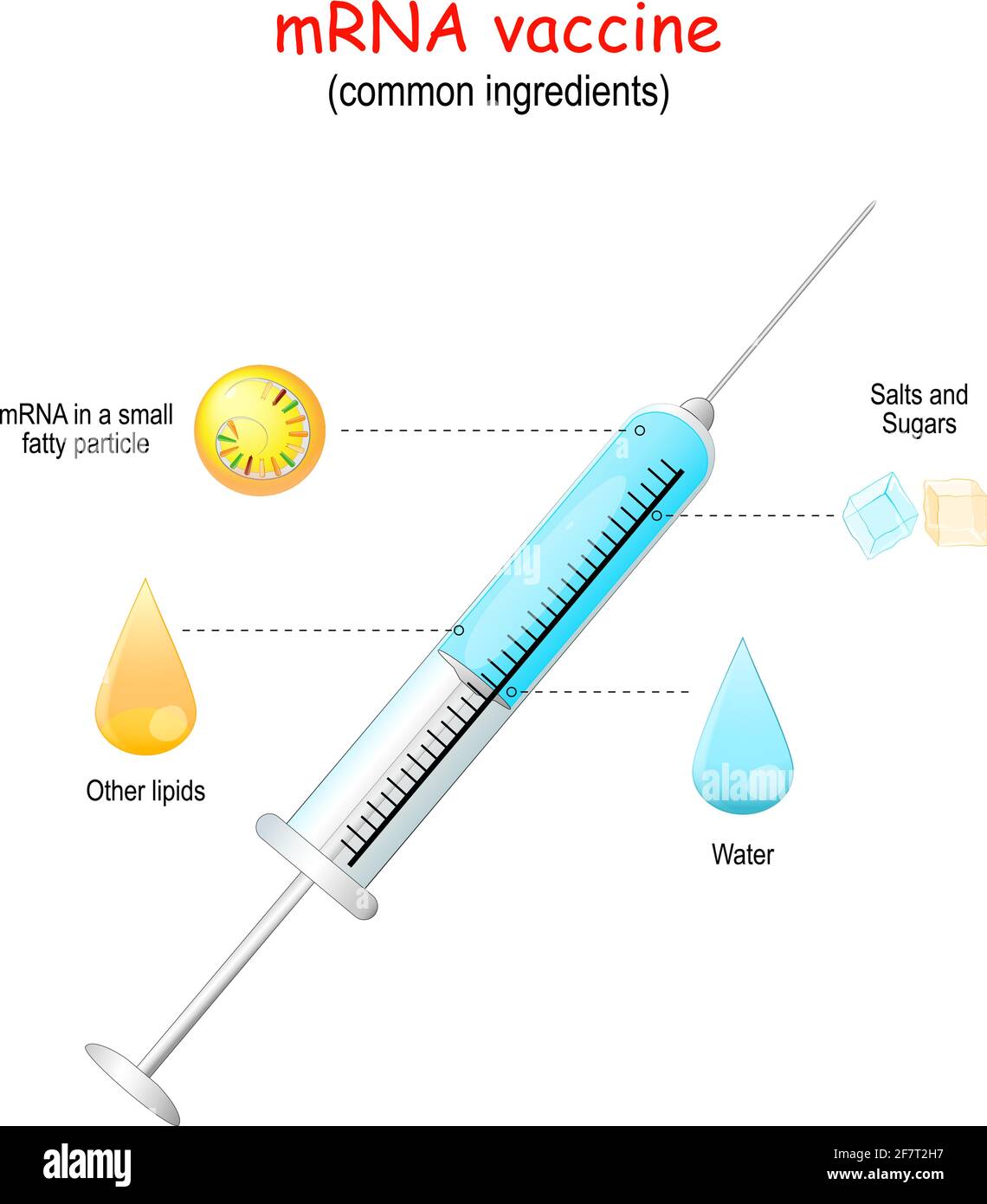 Vacuna ARNm. ¿Qué contiene una vacuna ARNm? Imagen vectorial. Primer plano de la jeringa con los ingredientes de la vacuna COVID-19 Ilustración del Vector
