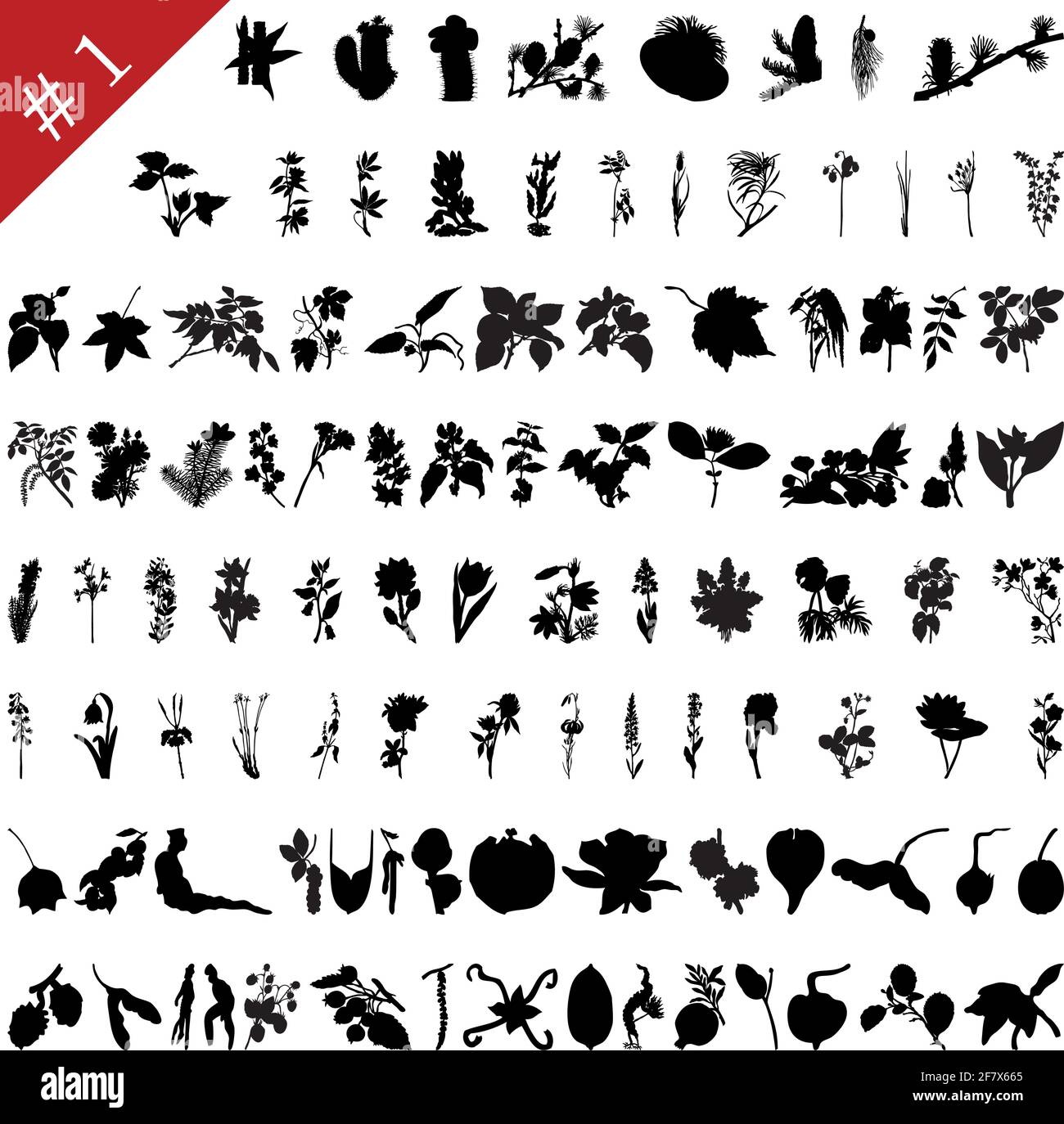 Colección de vectores de diferentes plantas y flores, siluetas #1 Ilustración del Vector