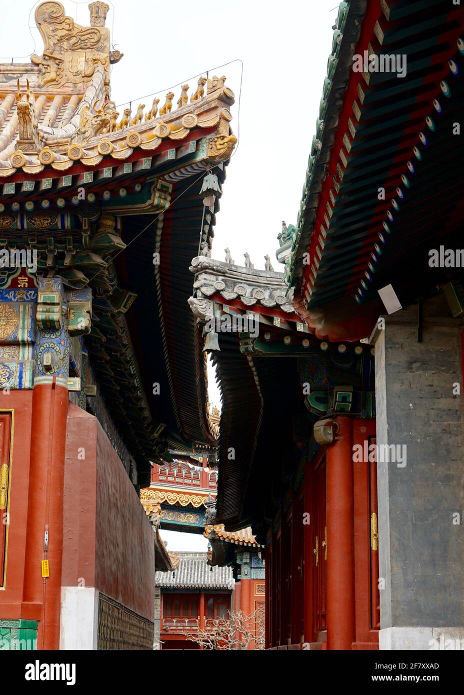 Esquinas del antiguo palacio chino con paredes rojas y techo de azulejos. Foto de stock