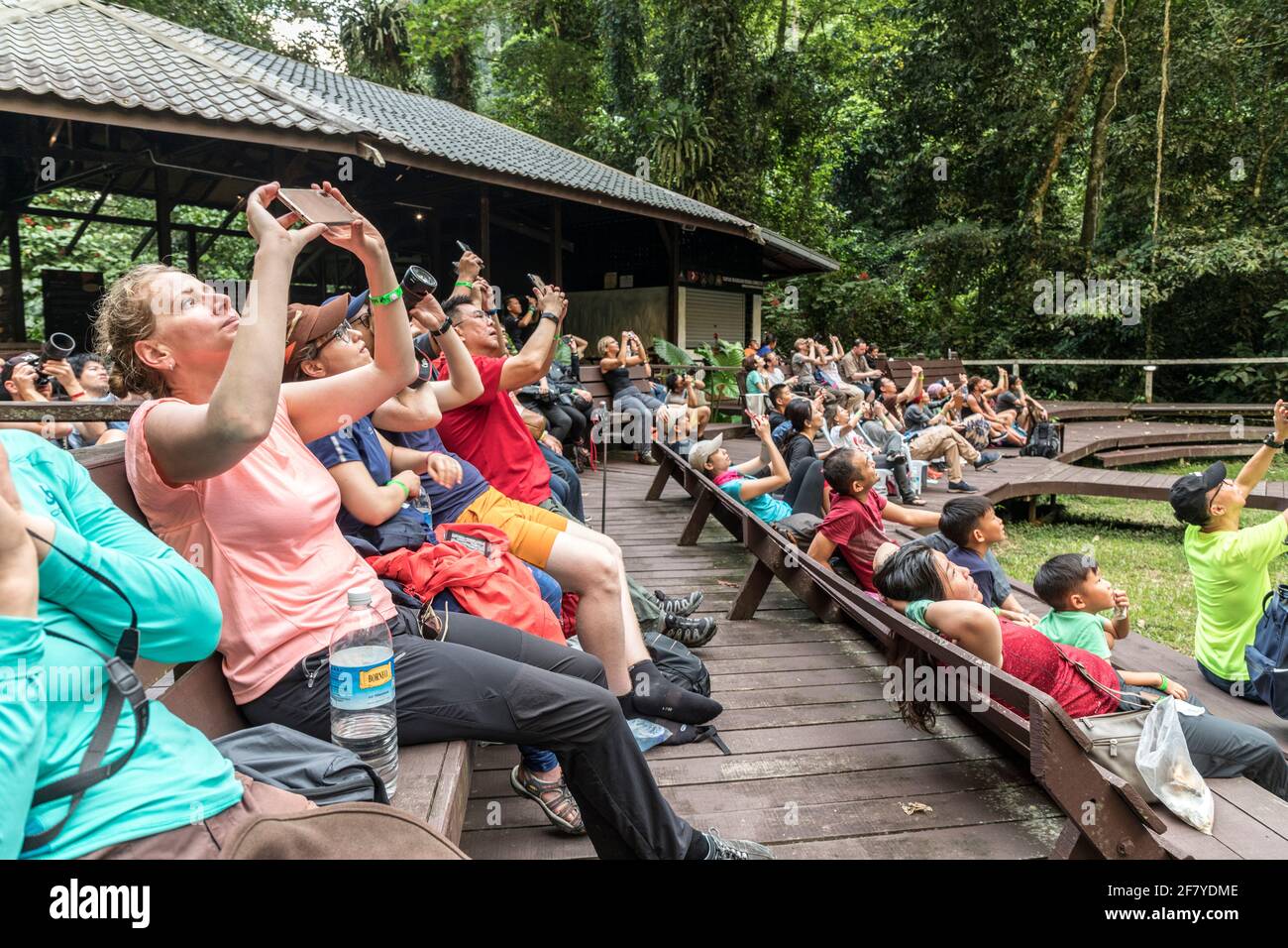 Gente viendo y fotografiando el vuelo de murciélagos desde Deer Cave, Mulu, Malasia Foto de stock