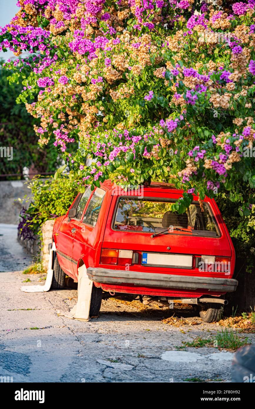 Coche retro aparcado en la calle, bajo el árbol. Montenegro, Europa. Oldtimer con diseño clásico. Foto de stock