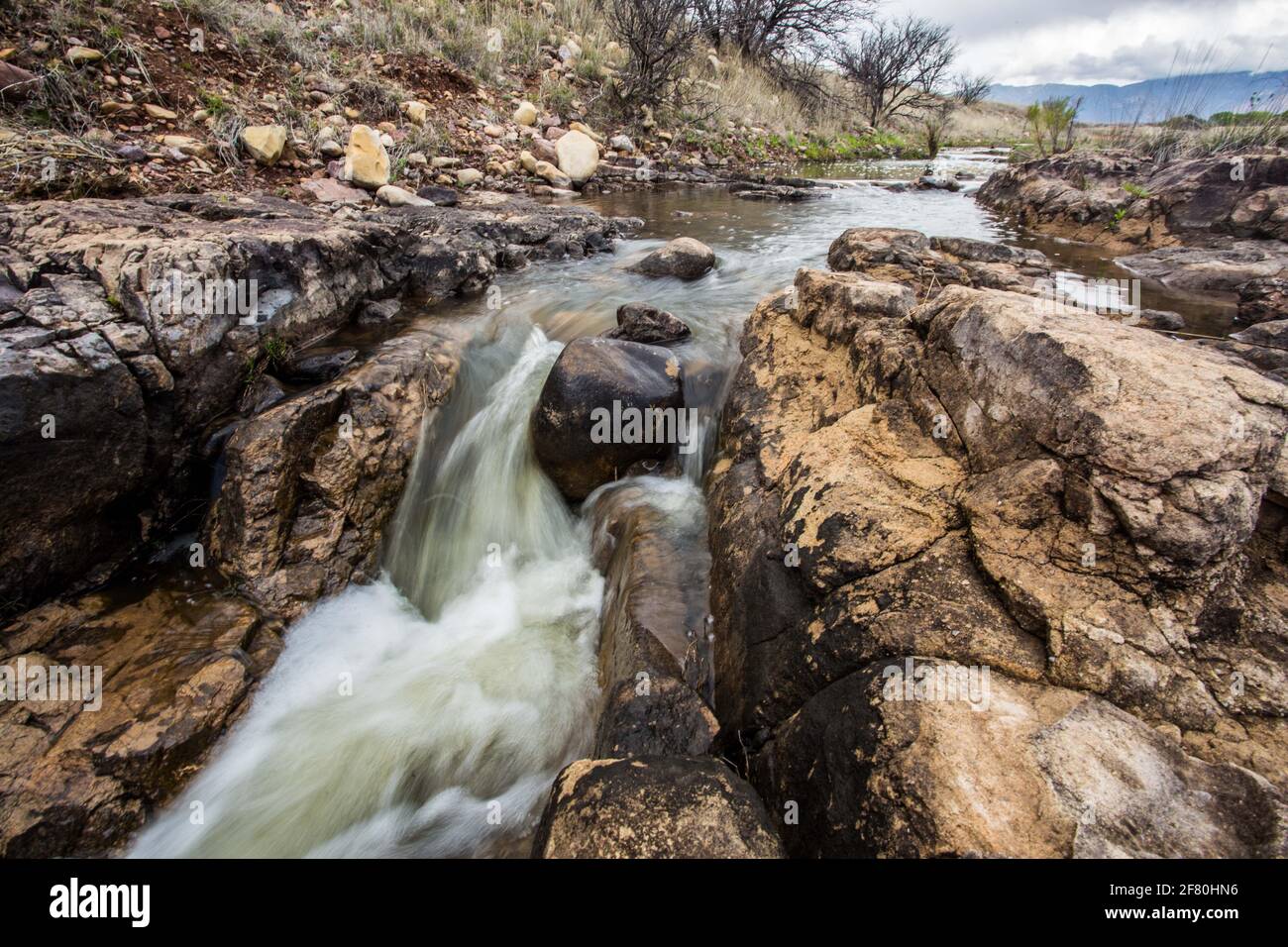 Corriente de agua. La Cuenca del Río San Pedro en el Rancho Los Fresnos del conservacionista de A.C. Naturalia. Santa Cruz, Sonora, México. (Foto: Luis Gutiérrez/NortePhoto.com) Arroyo de agua. Cuenca del Río San Pedro en el Rancho Los Fresnos de la A.C. conservacionista Naturalia. Santa Cruz, Sonora, México. (Foto: Luis Gutiérrez/NortePhoto.com) Foto de stock