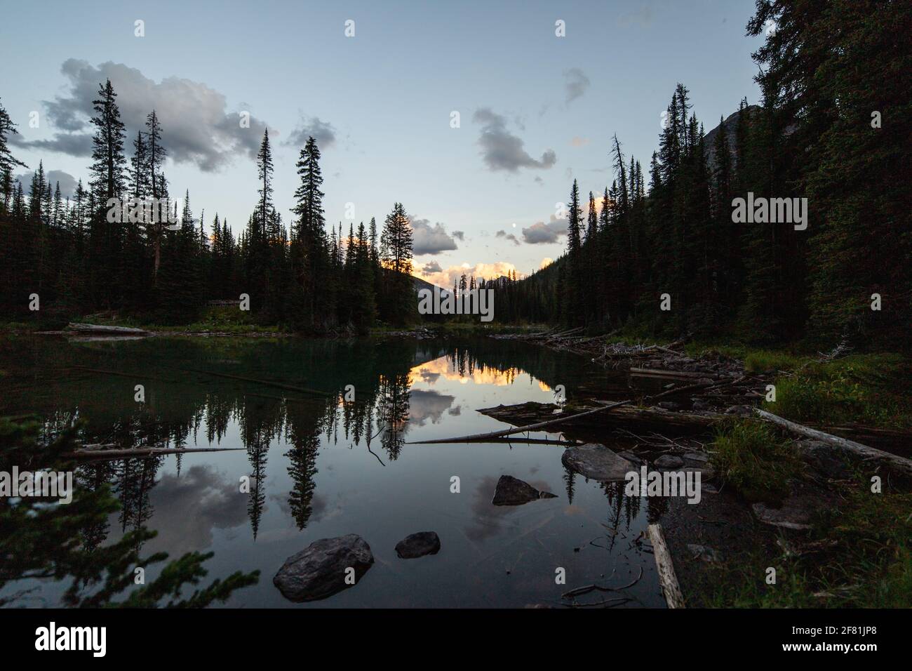lago tranquilo que refleja un paisaje matutino en las montañas con pinos Foto de stock