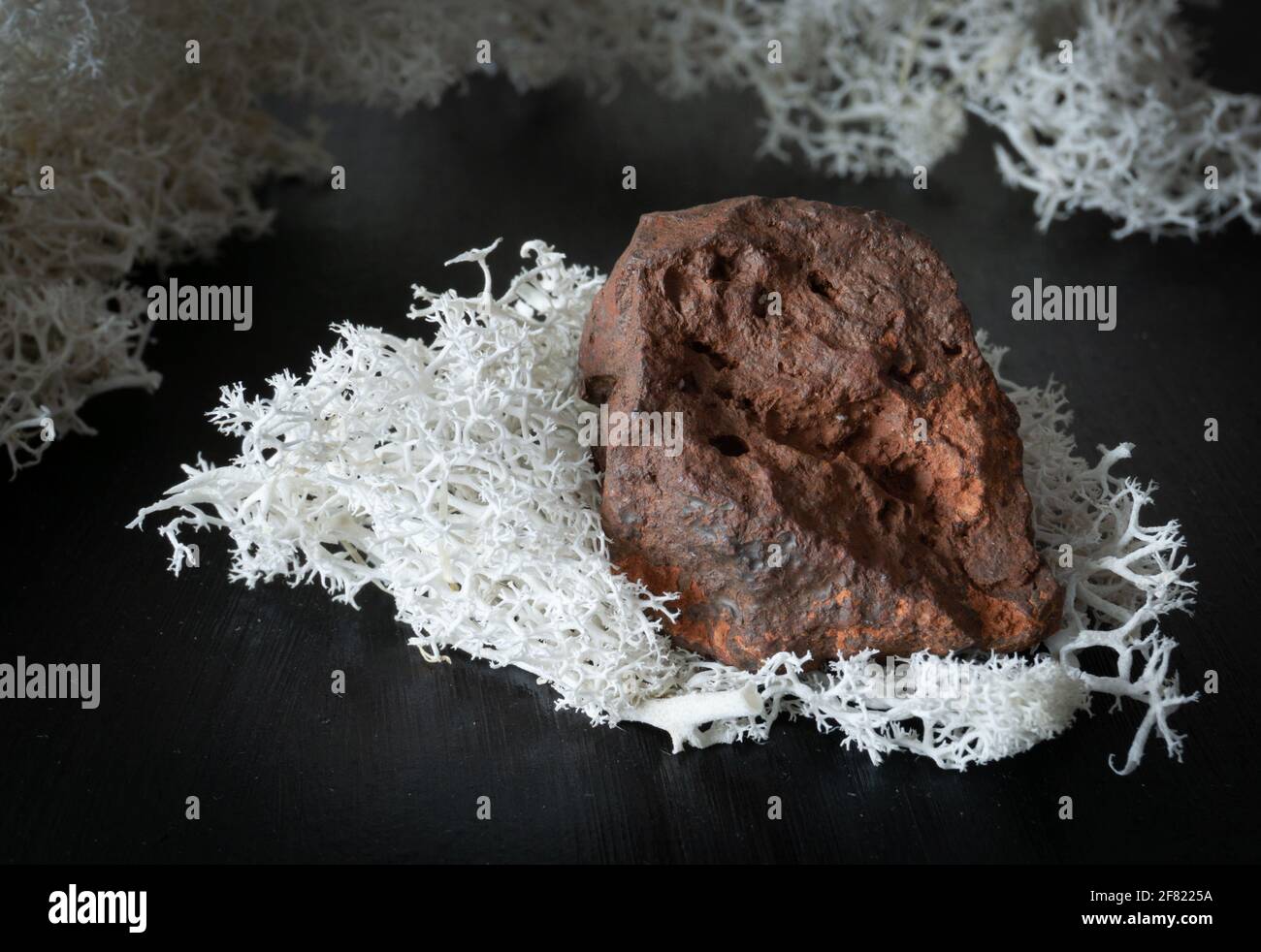 Goethita de Marruecos. Piedra mineral natural sobre fondo negro rodeada de musgo. Mineralogía, geología, magia, piedras semipreciosas y muestras de Foto de stock