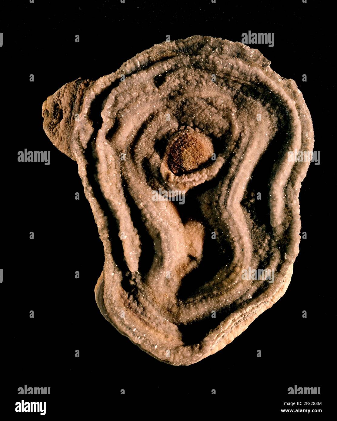 CRIPTOCRISTALINO DE CUARZO MINERAL - CRISOPRASA - TIPO CALCEDONIA. Ubicación: COLECCIÓN PRIVADA. MADRID. ESPAÑA. Foto de stock