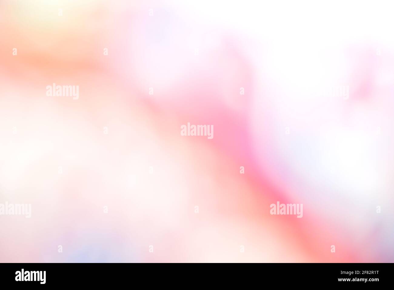 fondo de color rosa degradado para fondos de pantalla y diseños gráficos,  fondo de color pastel claro elegante diseño borroso Fotografía de stock -  Alamy