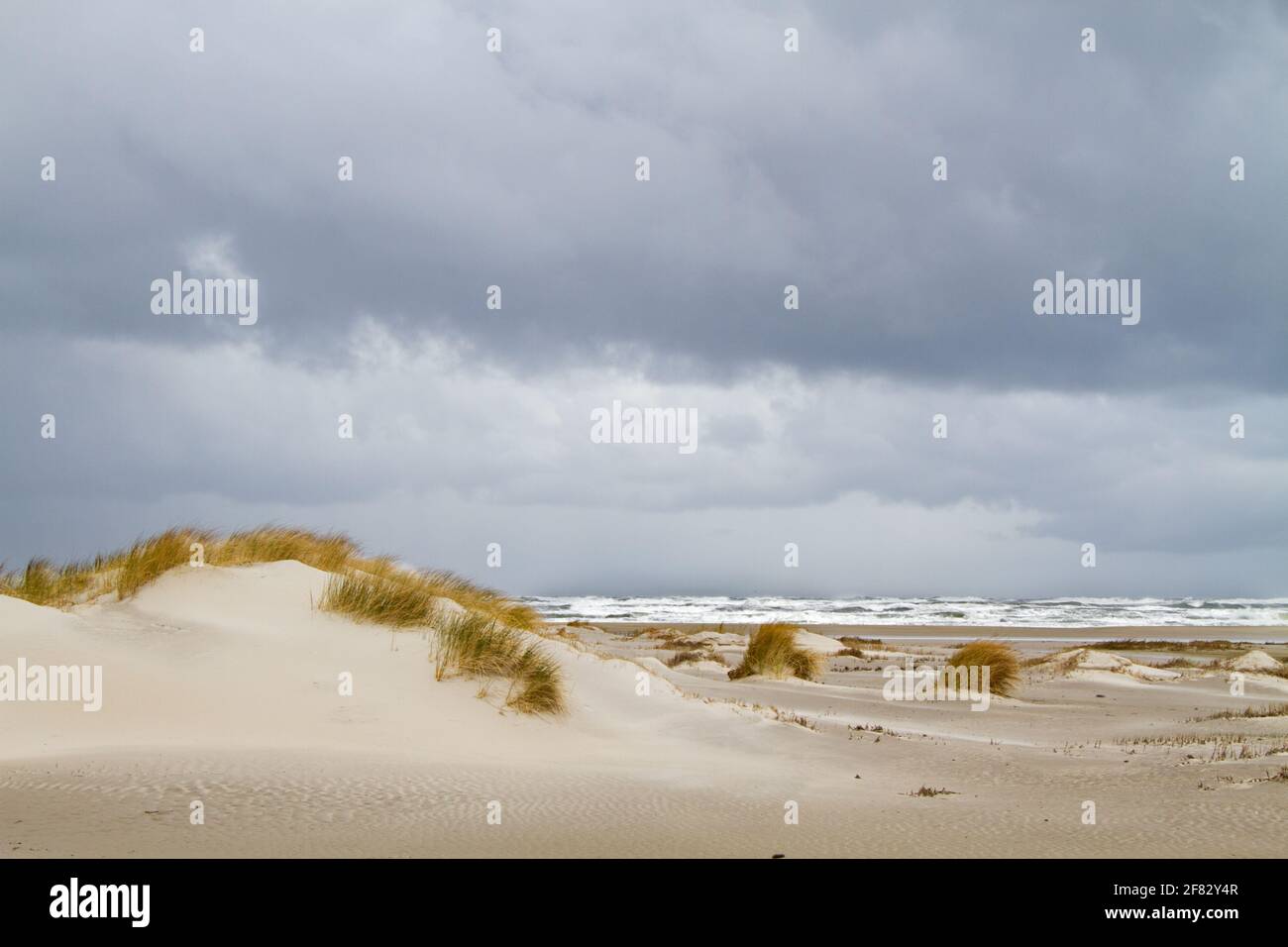 Paisaje de dunas y mar en la costa holandesa; arena, mar y hierba de Marram Foto de stock
